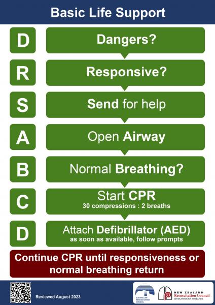 Graphic showing the basic life support steps