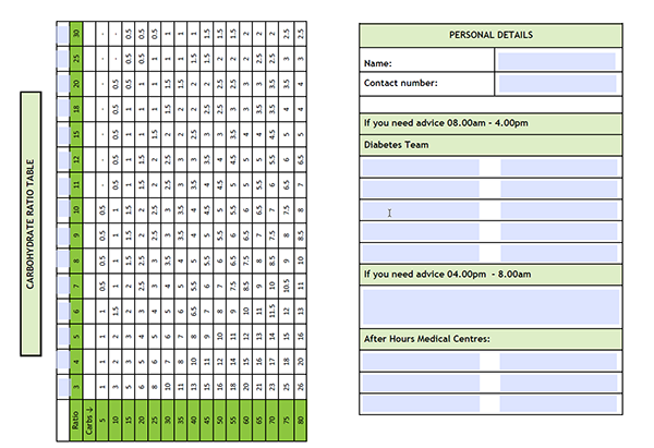 Screenshots of pages from the inside of the diabetes diary