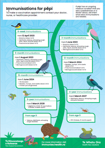 Image of personalised childhood immunisation chart 