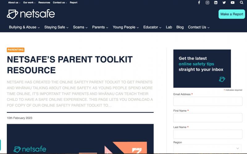 Screenshot of the NetSAFE website