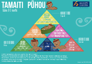 Tanaiti Puhou resource