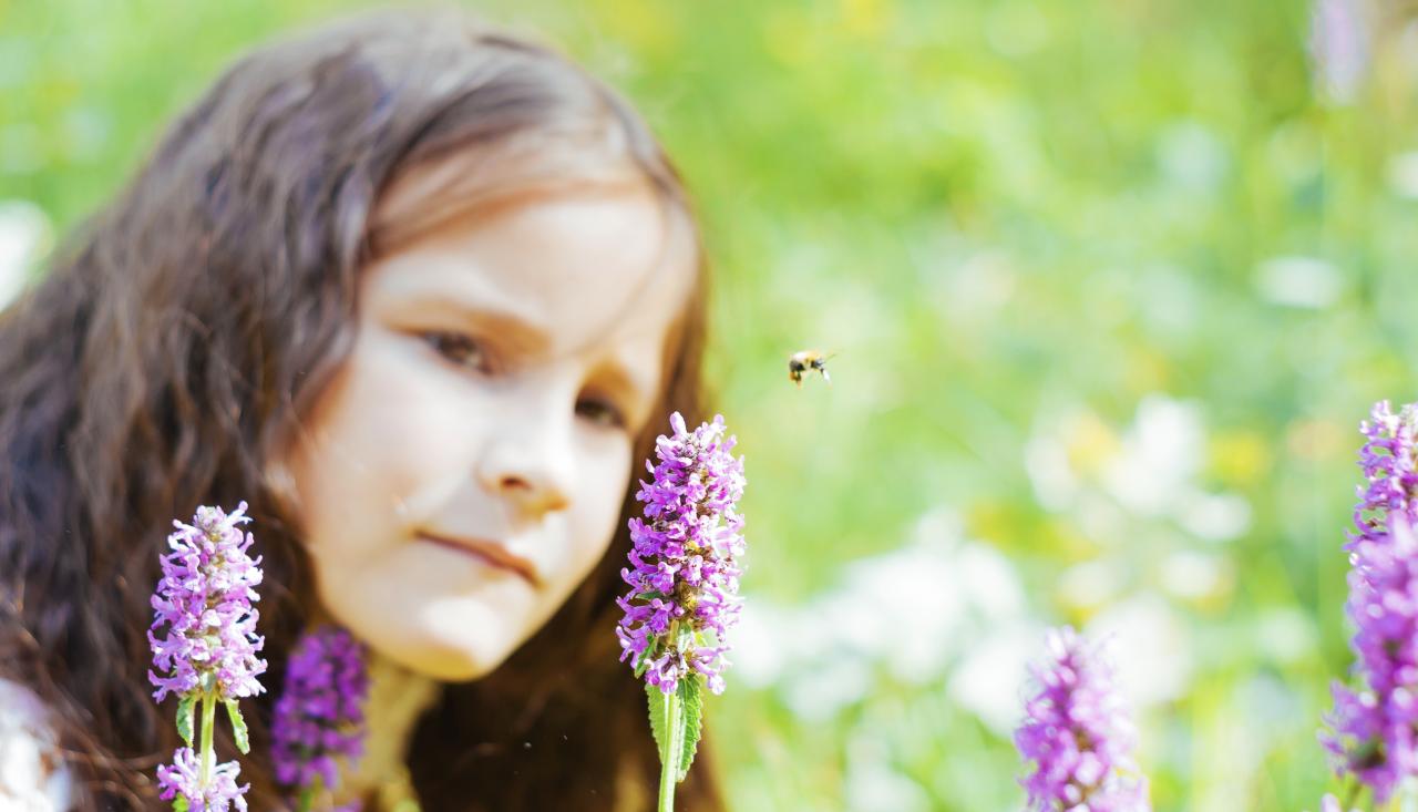 Child in the garden looking at a flower with a bee.