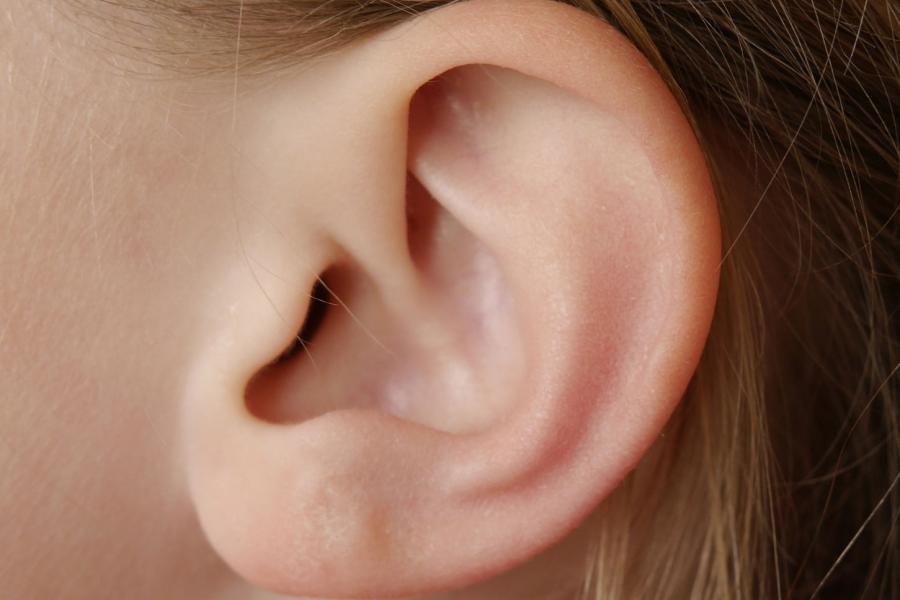 A child's ear